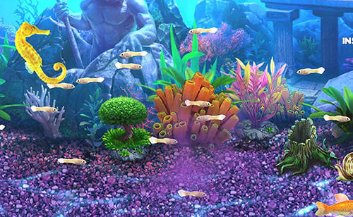 Fish tycoon no download
